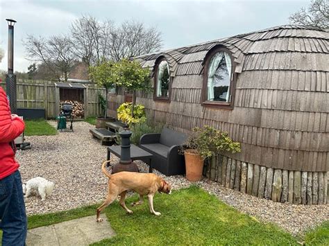 waingate farm huts Restaurants near Waingates Farm Huts, Roecliffe on Tripadvisor: Find traveller reviews and candid photos of dining near Waingates Farm Huts in Roecliffe, United Kingdom